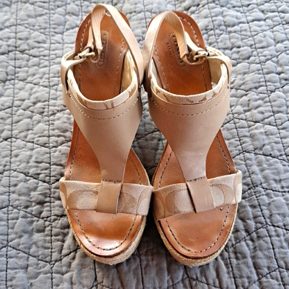 Tan wedge